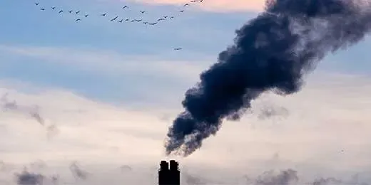 Pencemaran Lingkungan: Penyebab, Dampak dan Upaya Membersihkannya