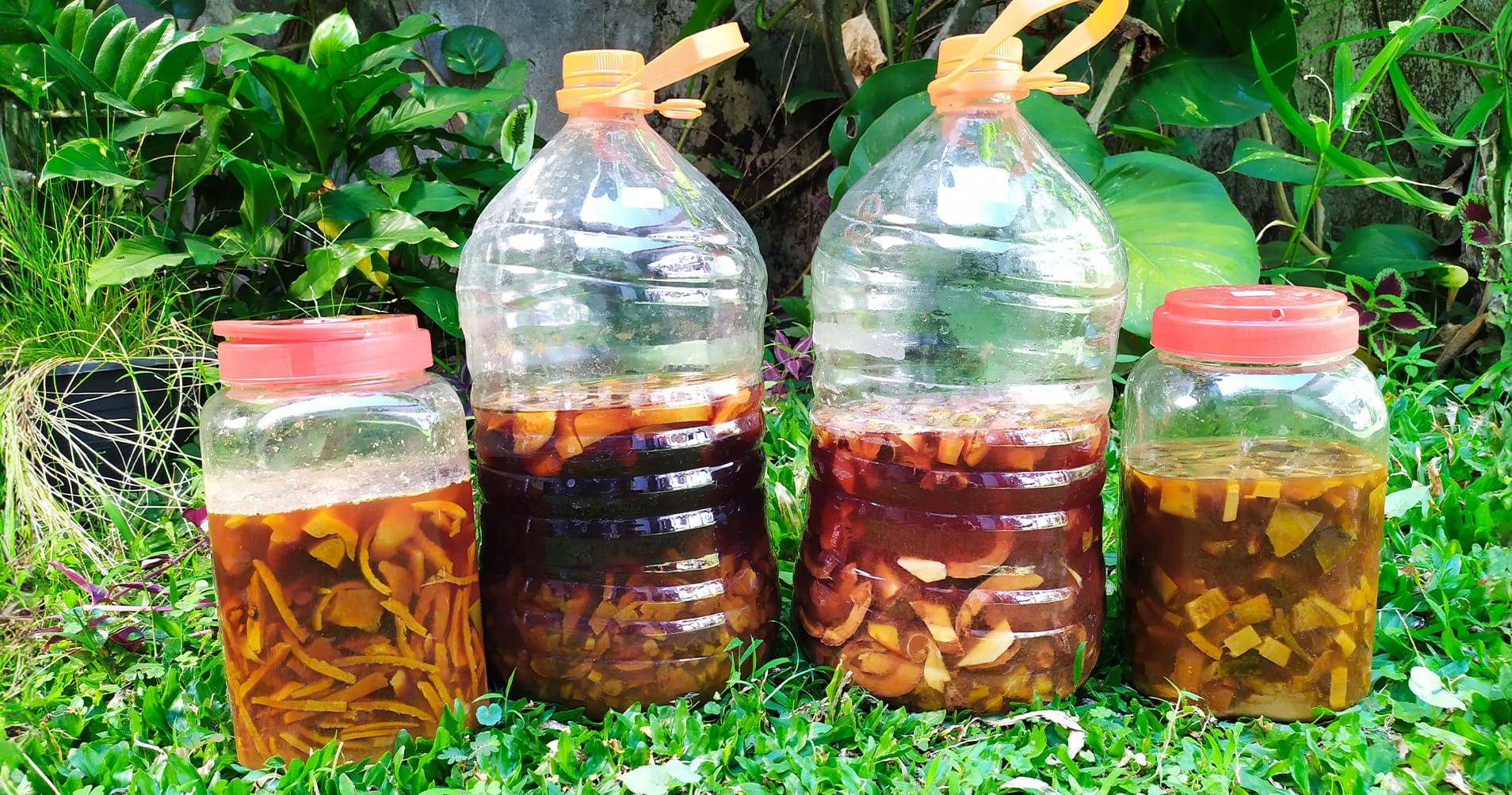 Eco Enzyme: The Multipurpose Liquid from Kitchen Waste
