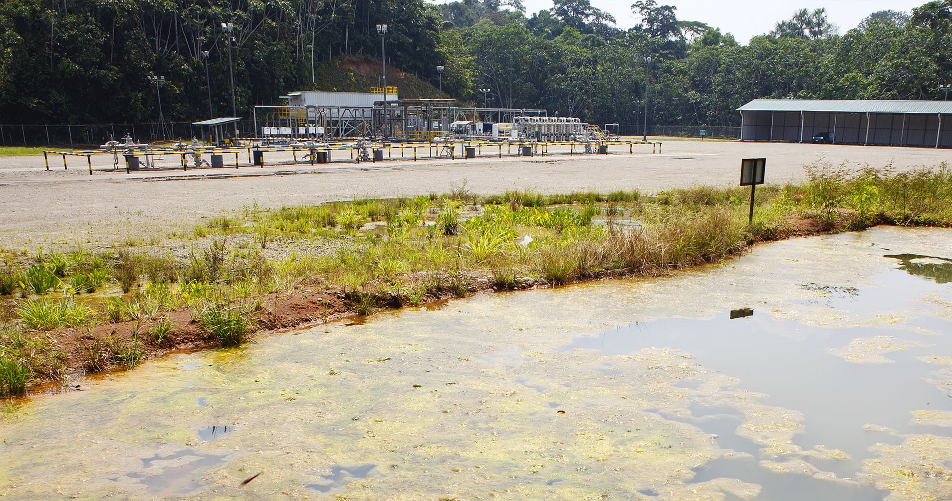 Bioremediasi: Solusi Inovatif Atasi Pencemaran Air