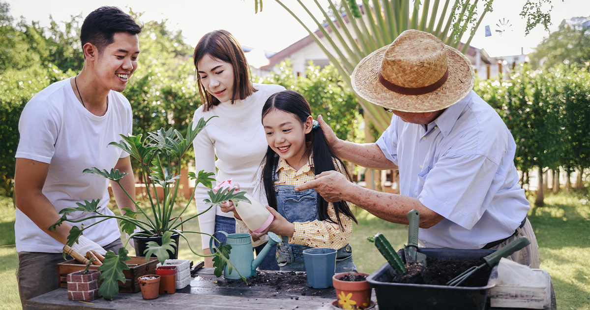 Creating a Comfortable and Eco-Friendly Home