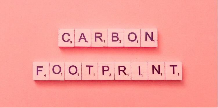 Berkenalan dengan Apa itu Jejak Karbon
