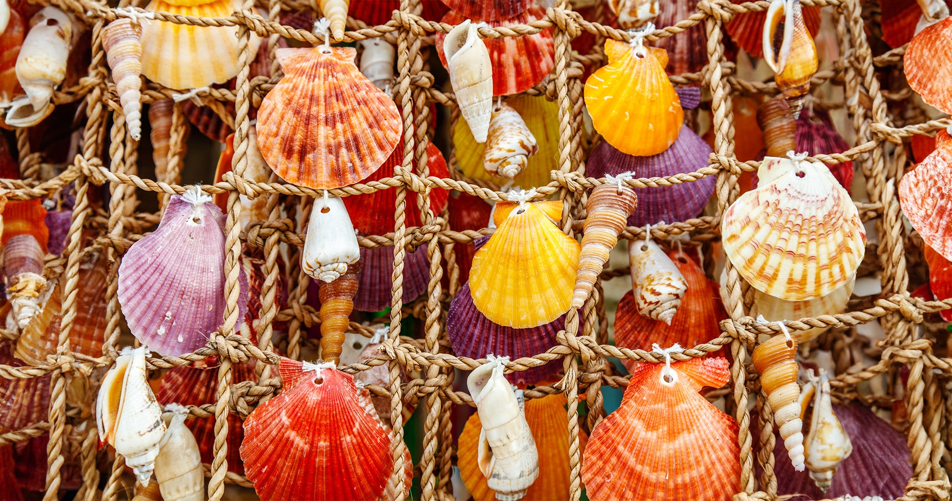 Turn Clam Shell Waste into Art with These 3 Creative Ideas