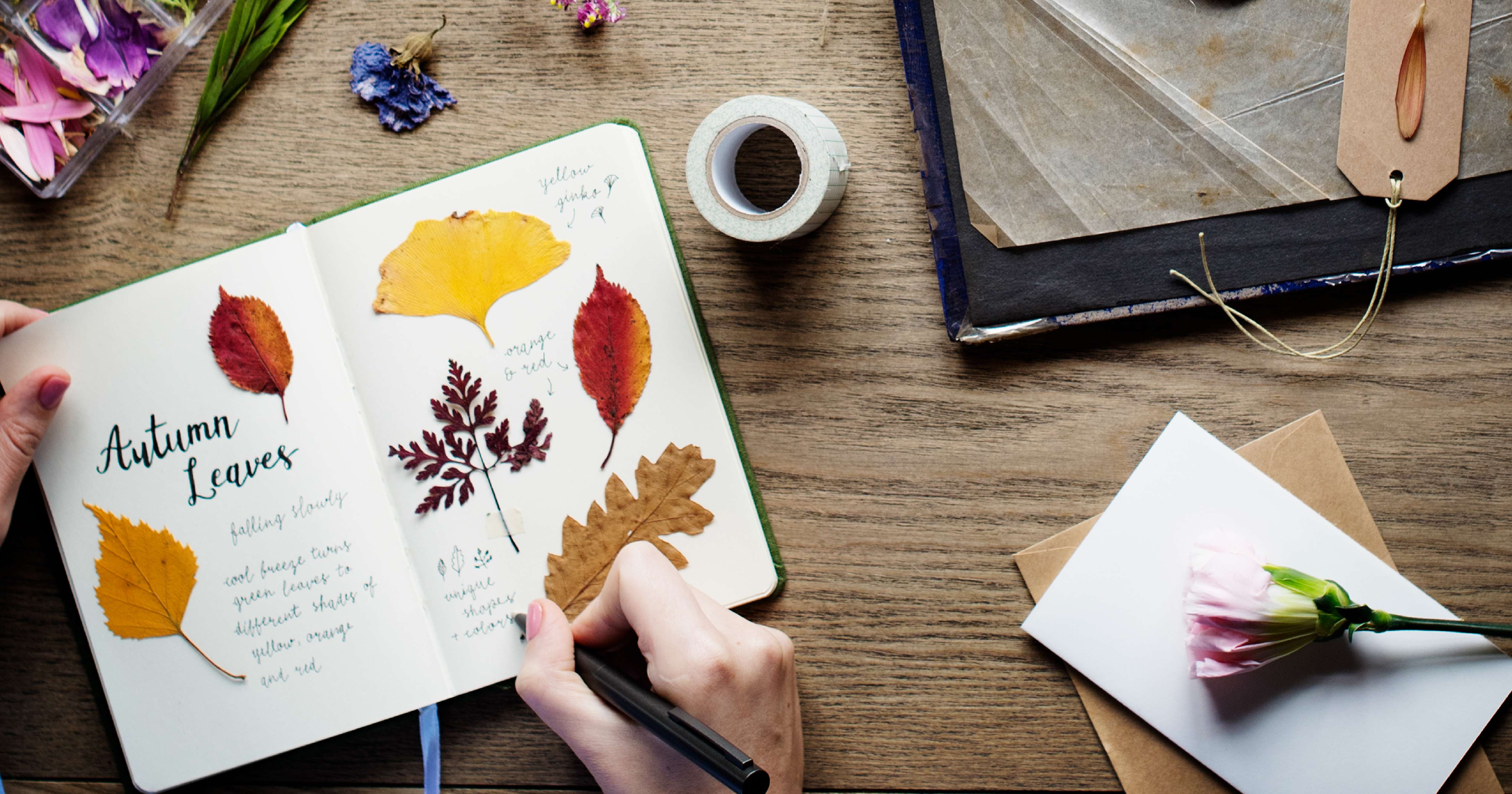 Trending Now! How to Make an Aesthetic Junk Journal from Used Items 