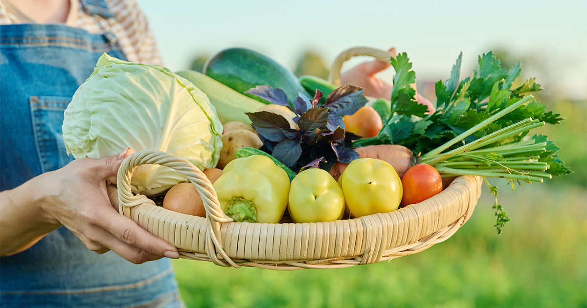 Benefits of Organic Food for Family Health in New Year's Celebrations