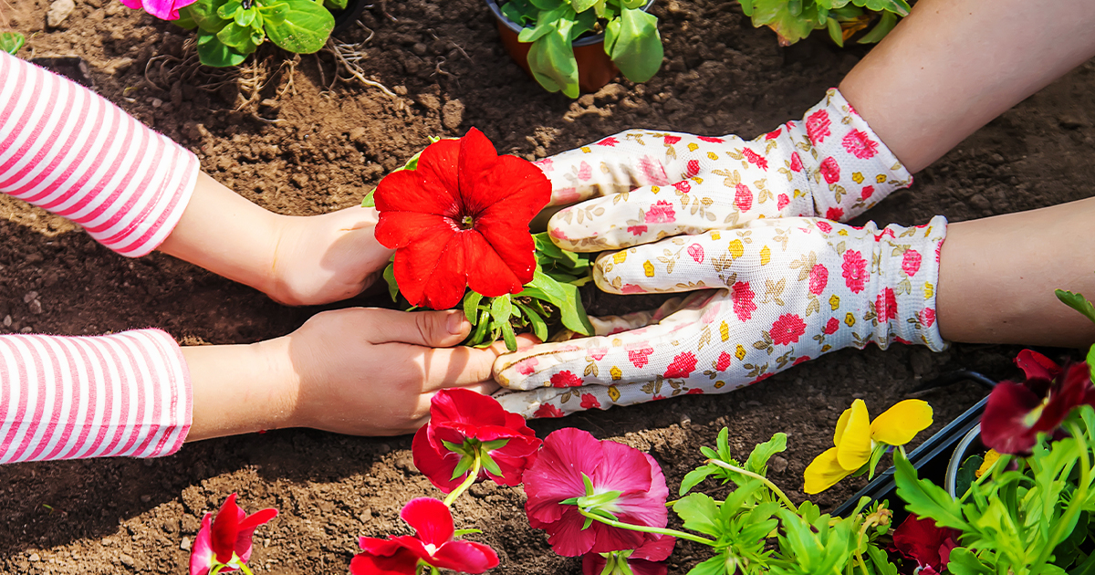 Simple Gardening at Home with Kids