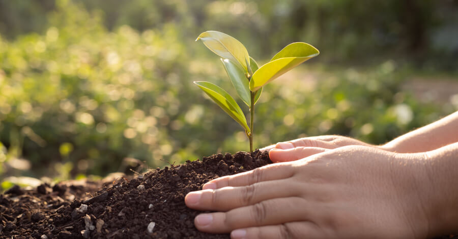 Compost Houses: Solutions for Fertilizers That Are Already Rare