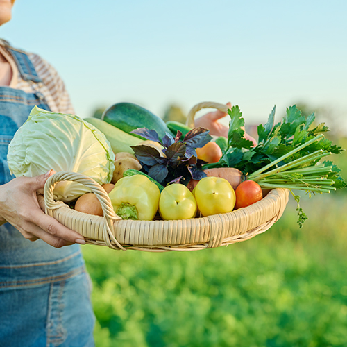 Manfaat Makanan Organik untuk Kesehatan Keluarga di Perayaan Tahun Baru