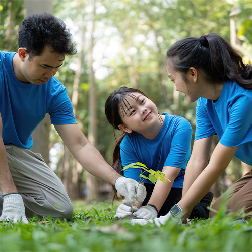 Manfaat Ruang Terbuka Hijau bagi Kesehatan dan Perkembangan Anak